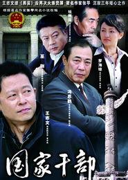 电视剧国家干部,权谋与担当的官场风云