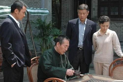 电视剧国家干部,权谋与担当的官场风云