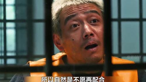 最新刑侦电视剧,刑侦剧中的智慧较量与真相追寻