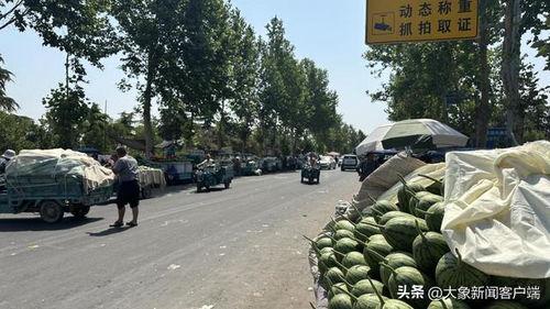 中牟韩寺吊瓜今日报价,价格行情一览