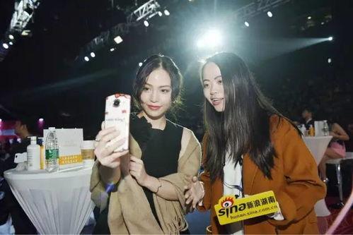 全民崇拜明星网红是谁,揭秘当红明星网红的璀璨魅力