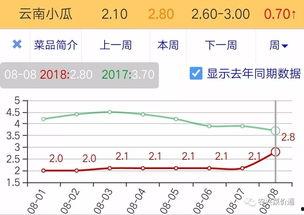 今日小瓜走势图表最新版,最新版揭示市场动态与趋势分析