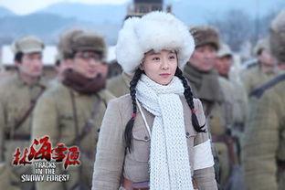 林海雪原电视剧,传奇英雄的雪地征程