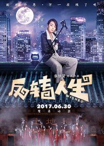 反转人生电视剧,命运轮回，谁主沉浮