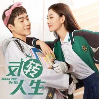 反转人生电视剧,命运轮回，谁主沉浮