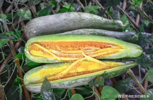 网红吃瓜今日热门