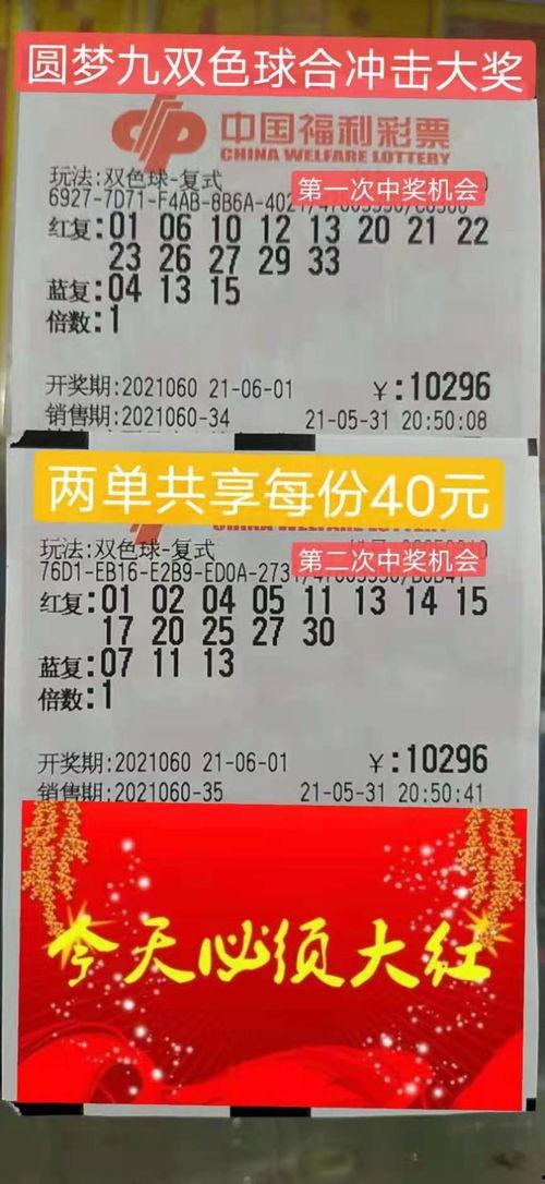 告诉我今日运势吧非麻瓜,神秘力量指引生活方向