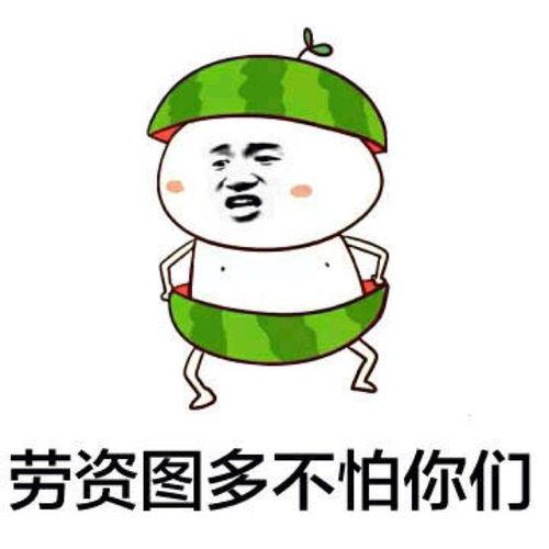今日吃瓜爆料正能量图片表情包,趣味表情包传递欢乐与温馨