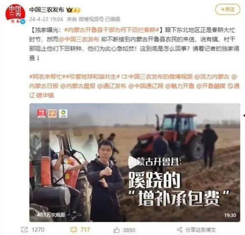 丽水今日热瓜新闻报道视频,今日新闻视频聚焦热点事件