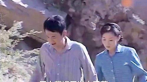 上门女婿电视剧,逆袭之路，爱情与家庭的抉择