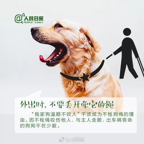 扮演狗狗视频热门话题,揭秘萌宠界的热门话题！