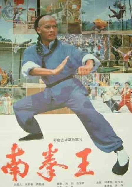 电影南拳王,热血拳坛，传承国术传奇