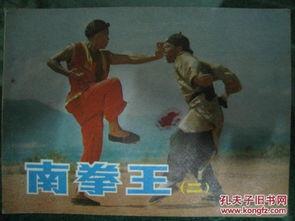 电影南拳王,热血拳坛，传承国术传奇