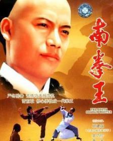 电影南拳王,热血拳坛，传承国术传奇