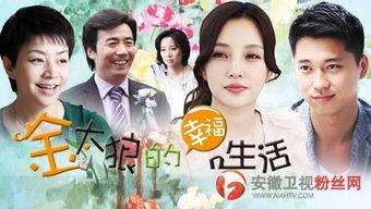 幸福生活电视剧,描绘现代家庭温馨画卷