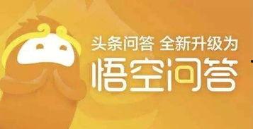 悟空问答最新热门话题,揭秘最新热门话题背后的热点与焦点