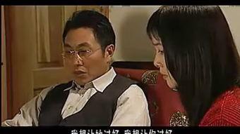 电视剧绝不放过你,复仇之路的悲欢离合