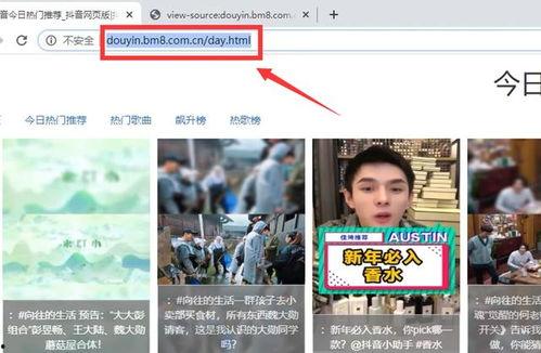 热门视频的瓜完整网站,带你探索网络热点背后的真相