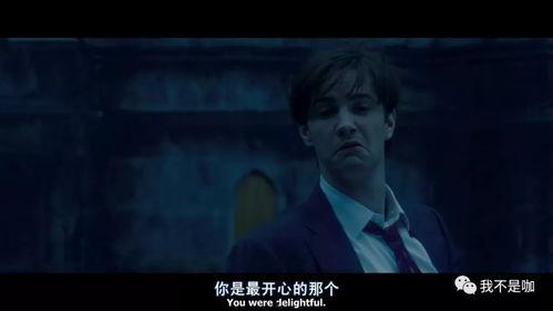 真相电影,揭秘历史迷雾，探寻历史真相