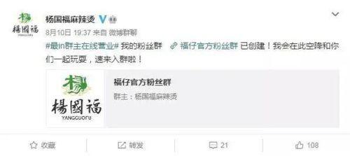 杨国福热门话题,从街头小吃到热门话题，揭秘火锅界的传奇人物