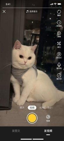 萌宠视频 热门话题,热门话题引发网友热议