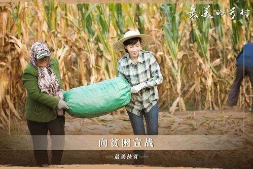 农村题材电视剧大全,农村题材电视剧大盘点