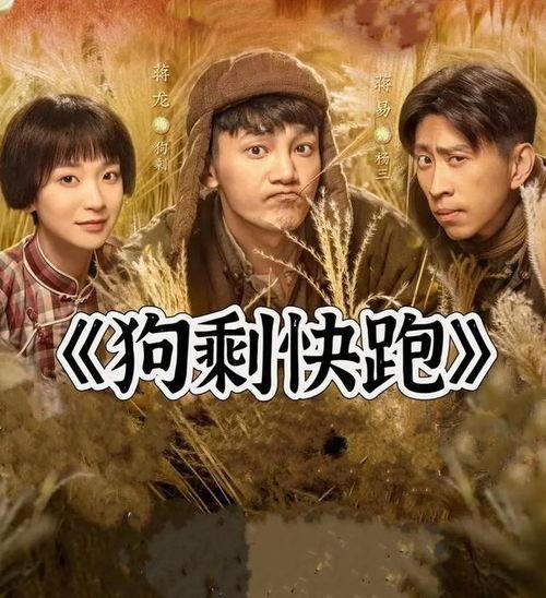 农村题材电视剧大全,农村题材电视剧大盘点