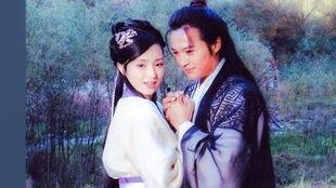君子好逑电视剧,穿越时空的浪漫传奇