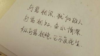 热门话题坚强的句子,热门话题下的力量与勇气