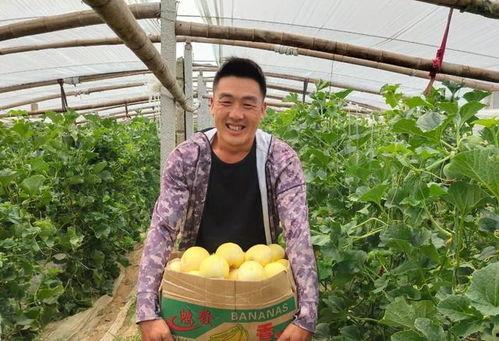 今日新鲜事李红太安瓜,揭秘今日新鲜事中的农业新宠