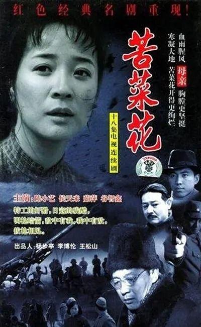电视剧苦菜花,烽火岁月里的家国情怀