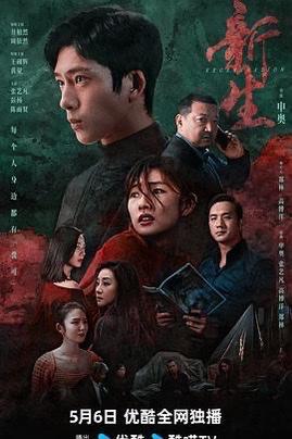 国产悬疑电视剧,国产悬疑剧中的推理迷宫