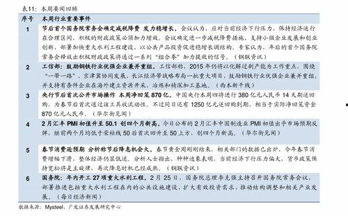 云南今日嫩瓜价格行情表,涨跌互现，市场动态解析