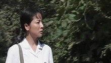 大姐电视剧