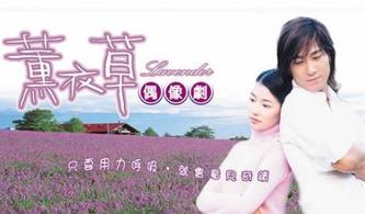 电视剧薰衣草,爱情与命运的交织