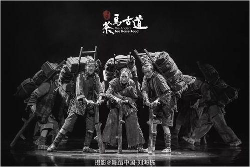 茶马古道电视剧,古道风云，马蹄声声传千年传奇