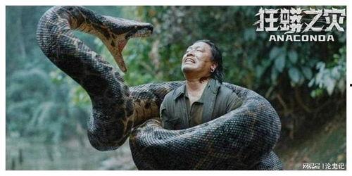 狂蟒之灾电影,惊悚丛林中的生死较量