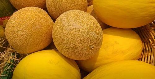 今日份哈密瓜特价进行中,尽享夏日清凉美味”