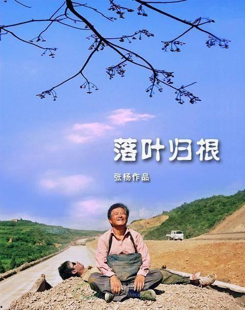 电影落叶归根,漂泊异乡的归途与乡愁