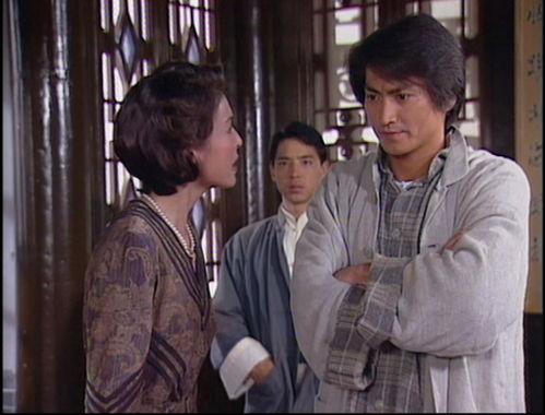 何家劲电视剧,侠骨柔情，英雄本色