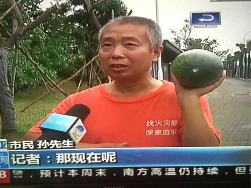 山西吃瓜热门事件,揭秘当地网络热议背后的真相