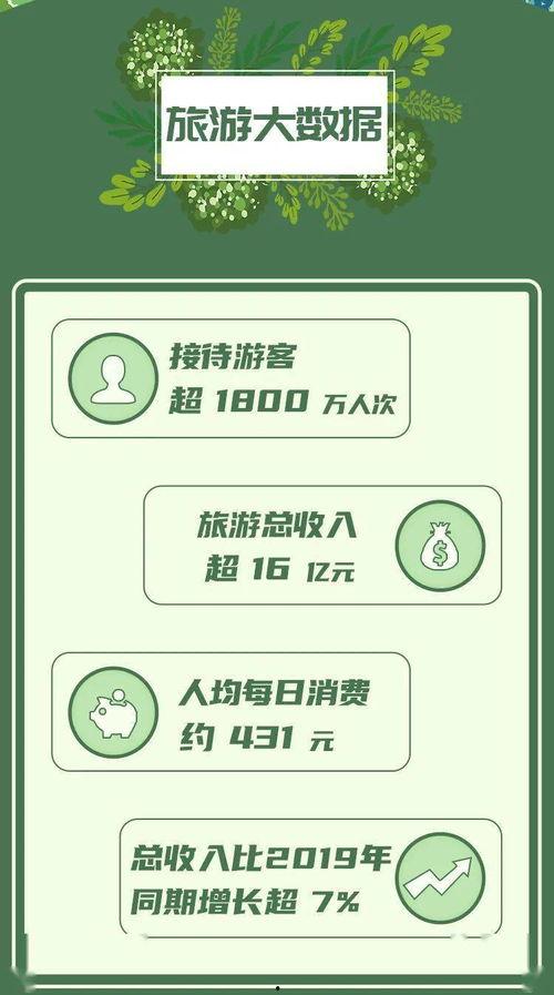 今日小吊瓜行情分析图最新,最新分析图揭示市场动态与趋势