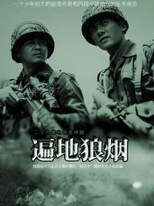遍地狼烟电视剧,烽火岁月里的抗战传奇