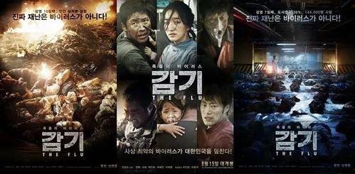 韩国电影流感,病毒肆虐下的生死较量