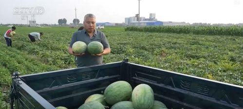 安徽近期热门吃瓜事件新闻,揭秘近期网络热议焦点！”