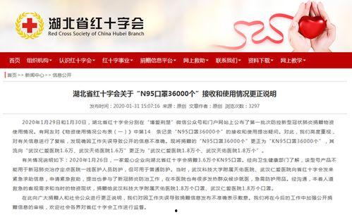 丽水今日热瓜新闻报道内容,聚焦今日热点事件，揭秘背后真相