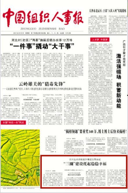 丽水今日热瓜新闻报道内容,聚焦今日热点事件，揭秘背后真相