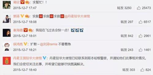 和明星网红加微信,揭秘社交圈幕后故事”