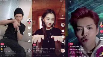 明星网红视频在线播放,在线播放带你领略时尚潮流