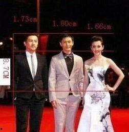 明星网红身高对比照片,明星网红身高对比图鉴
